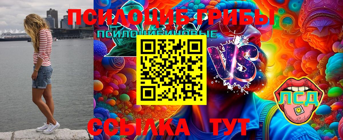 Галлюциногенные грибы прущие грибы Великий Устюг